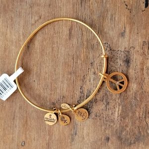 Alex and Ani Gold Peace Sign Bracelet